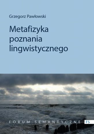Metafizyka poznania lingwistycznego Grzegorz Pawowski - okadka ebooka
