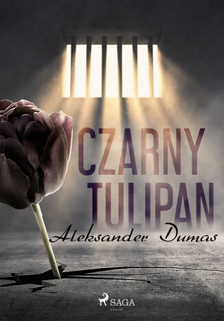 Czarny tulipan Aleksander Dumas - okadka audiobooka MP3
