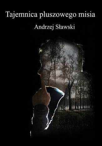 Tajemnica pluszowego misia Andrzej Sawski - okadka audiobooks CD