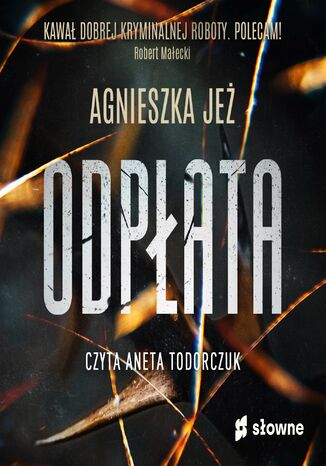 Odpłata Agnieszka Jeż - okładka audiobooks CD