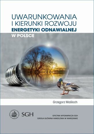 Uwarunkowania i kierunki rozwoju energetyki odnawialnej w Polsce Grzegorz Maloch - okadka ebooka