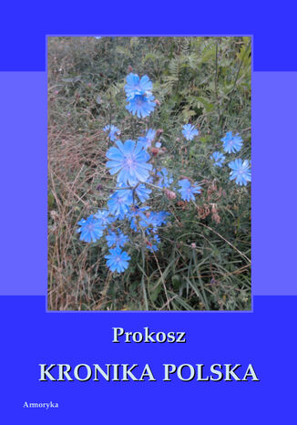Kronika polska Prokosza Prokosz - okadka ebooka