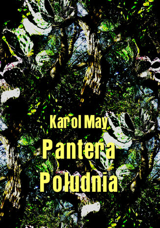 Pantera Poudnia Karol May - okadka ebooka