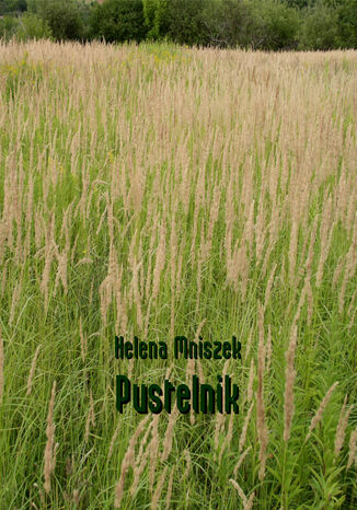 Pustelnik Helena Mniszek - okadka audiobooka MP3