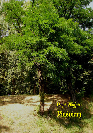 Pieniarz Dante Alighieri - okadka audiobooks CD