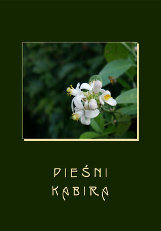 Pieni Kabira Kabir - okadka ebooka
