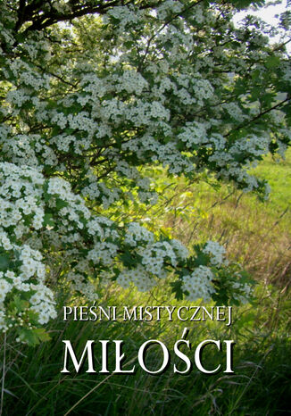 Pieni mistycznej mioci Antologia - okadka audiobooka MP3