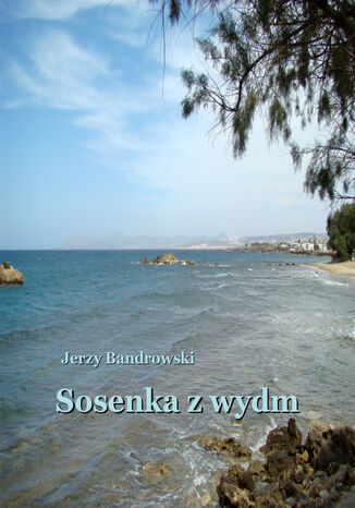 Sosenka z wydm Jerzy Bandrowski - okadka audiobooka MP3