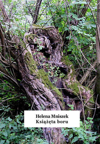 Ksita boru Helena Mniszek - okadka audiobooks CD