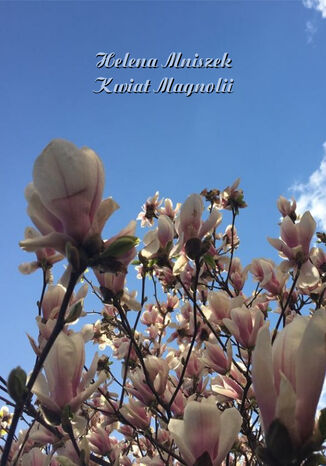 Kwiat magnolii Helena Mniszek - okadka ebooka