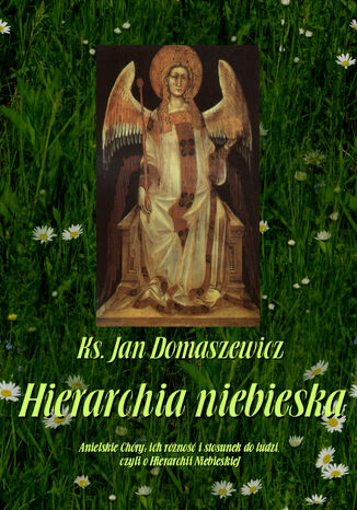 Hierarchia niebieska Jan Domaszewicz - okadka audiobooks CD