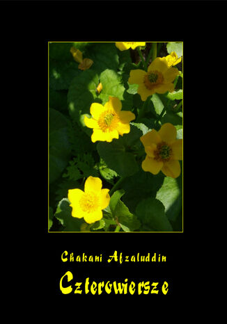 Czterowiersze Chakaniego Chakani Afzaluddin - okadka audiobooka MP3