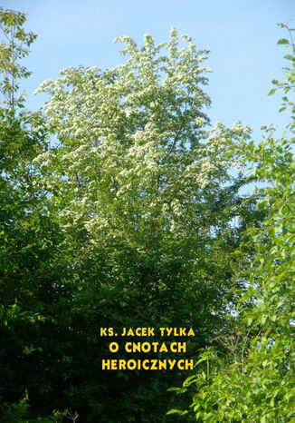 O cnotach heroicznych Jacek Tylka - okadka audiobooka MP3