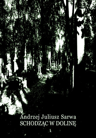 Schodzc w dolin Andrzej Juliusz Sarwa - okadka audiobooks CD
