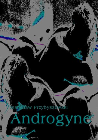 Androgyne Stanisaw Przybyszewski - okadka audiobooka MP3