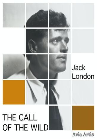 The Call of the Wild Jack London - okładka książki