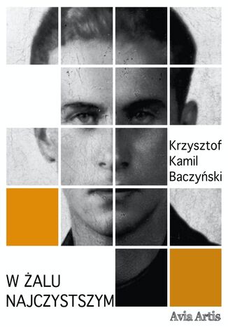 W alu najczystszym Krzysztof Kamil Baczyski - okadka ebooka