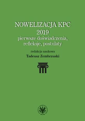 Nowelizacja KPC 2019 Tadeusz Zembrzuski - okadka ebooka