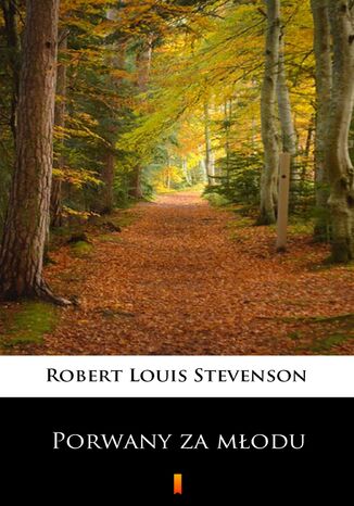 Porwany za młodu Robert Louis Stevenson - okładka ebooka