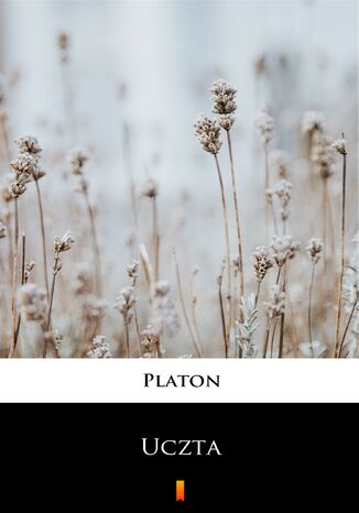 Uczta Platon - okadka ebooka
