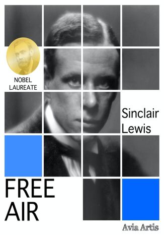 Free Air Sinclair Lewis - okładka książki