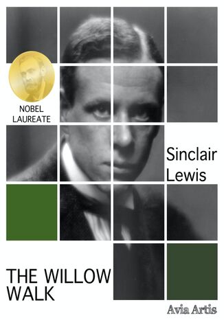 The Willow Walk Sinclair Lewis - okadka audiobooks CD
