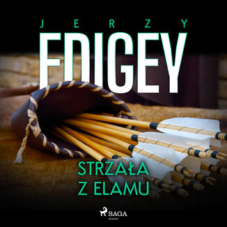 Strzaa z Elamu Jerzy Edigey - okadka audiobooka MP3