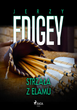 Strzaa z Elamu Jerzy Edigey - okadka audiobooks CD