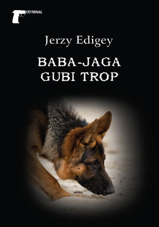 Kryminał. Baba-Jaga gubi trop