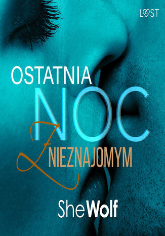 Ostatnia noc z nieznajomym opowiadanie erotyczne