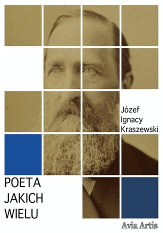 Poeta jakich wielu Jzef Ignacy Kraszewski - okadka ebooka