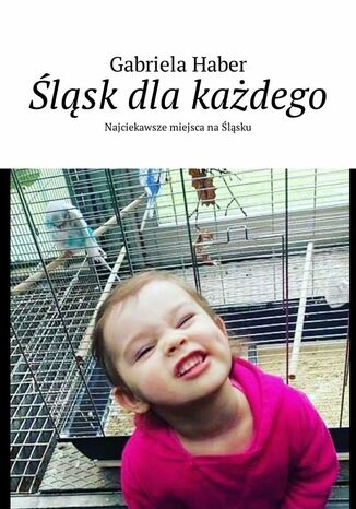 Śląsk dla każdego