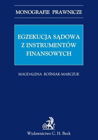 Egzekucja sądowa z instrumentów finansowych