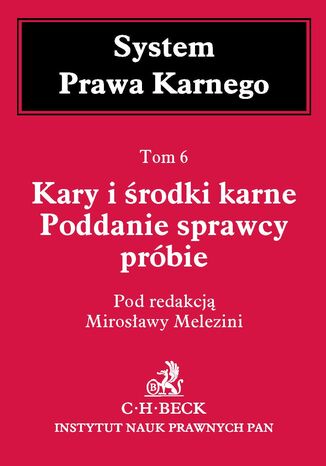 Kary i środki karne. Poddanie sprawcy próbie. Tom 6