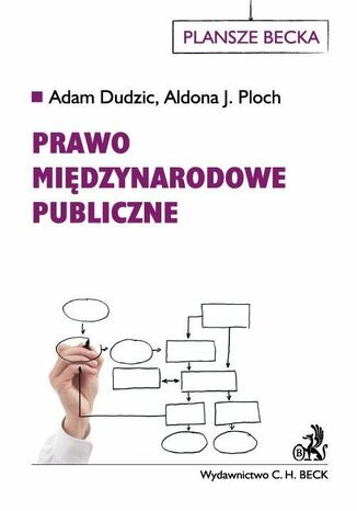 Prawo midzynarodowe publiczne Adam Dudzic, Aldona Joanna Ploch - okadka ebooka