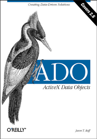 ADO:  ActiveX Data Objects Jason T Roff - okadka audiobooks CD