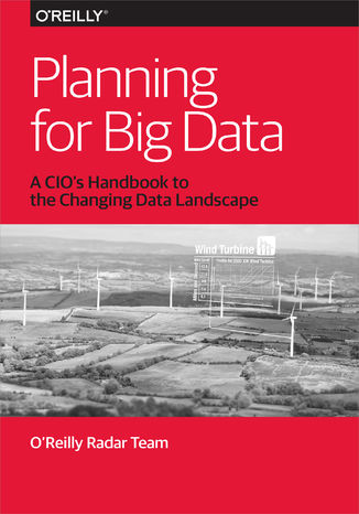Planning for Big Data Edd Wilder-James - okładka książki