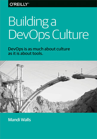 Building a DevOps Culture Mandi Walls - okadka audiobooks CD