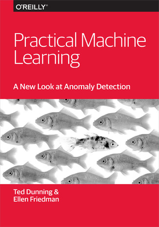 Practical Machine Learning: A New Look at Anomaly Detection Ted Dunning, Ellen Friedman - okładka audiobooka MP3