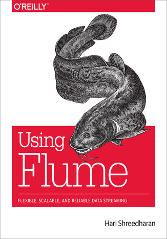 Using Flume. Flexible, Scalable, and Reliable Data Streaming Hari Shreedharan - okładka audiobooka MP3