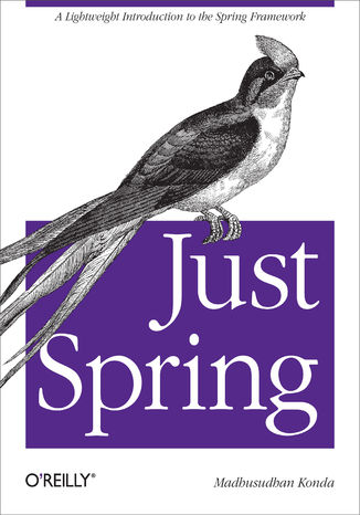 Just Spring. A Lightweight Introduction to the Spring Framework