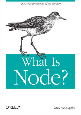 What Is Node? Brett McLaughlin - okładka audiobooks CD