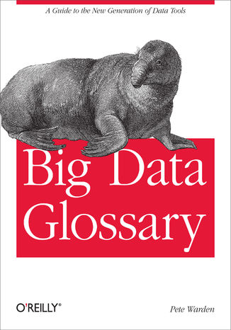 Okładka książki/ebooka Big Data Glossary. A Guide to the New Generation of Data Tools