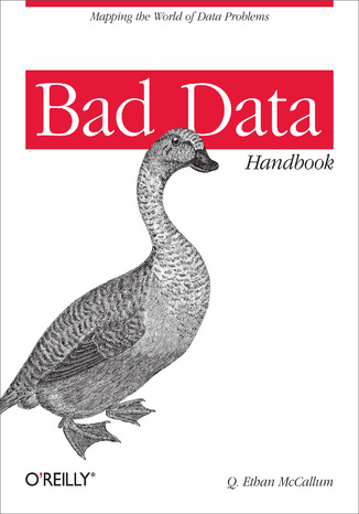 Bad Data Handbook. Cleaning Up The Data So You Can Get Back To Work Q. Ethan McCallum - okadka ebooka