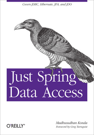 Okładka:Just Spring Data Access 
