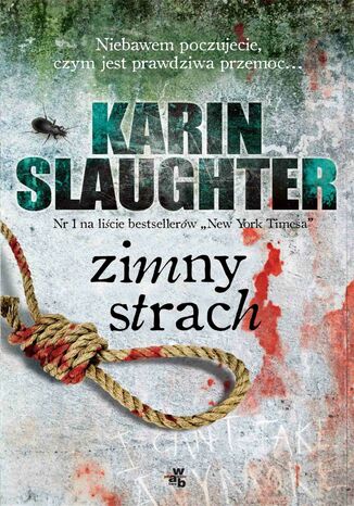 Zimny strach Karin Slaughter - okładka ebooka