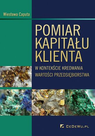 Pomiar kapitału klienta w kontekście kreowania wartości przedsiębiorstwa