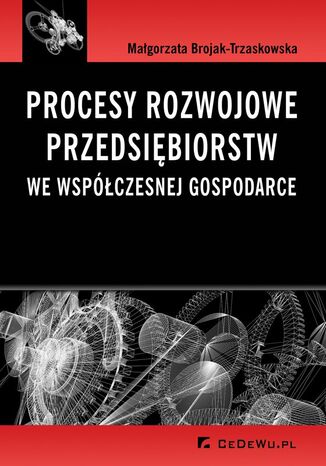 Procesy rozwojowe przedsiębiorstw we współczesnej gospodarce Małgorzata Brojak-Trzaskowska - okładka książki