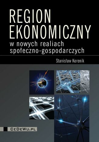 Region ekonomiczny w nowych realiach spoeczno-gospodarczych Stanisaw Korenik - okadka ebooka