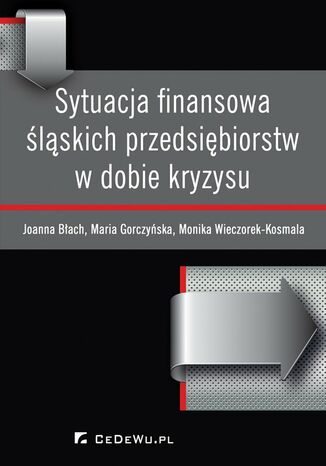 Sytuacja finansowa śląskich przedsiębiorstw w dobie kryzysu Joanna Błach, Maria Gorczyńska, Monika Wieczorek-Kosmala - okładka książki